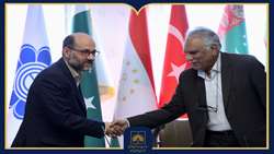 برگزاری بزرگداشت استاد عارف نوشاهی و میرسیدعلی همدانی
